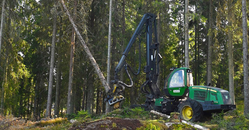 Sydved selects CFHarvest to manage its forestry operations. Picture of Sydved harvesting wood